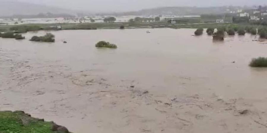 إقليم
      وجدة
      يتصدر
      الأمطار
      بالمغرب - ترند نيوز