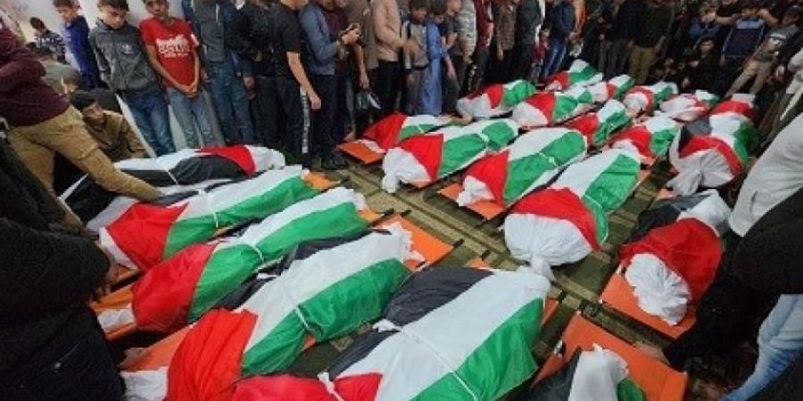 الصحة
      الفلسطينية
      تكشف
      أحدث
      إحصائية
 ... - ترند نيوز