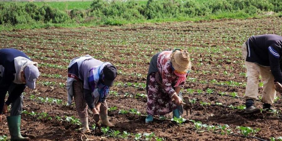 "أمطار
      مارس"
      وتعزيز
      التشغيل
      في
      المغرب
      ..
      تفاؤل
      مبكر
      وتأثير
      مرتقب - ترند نيوز