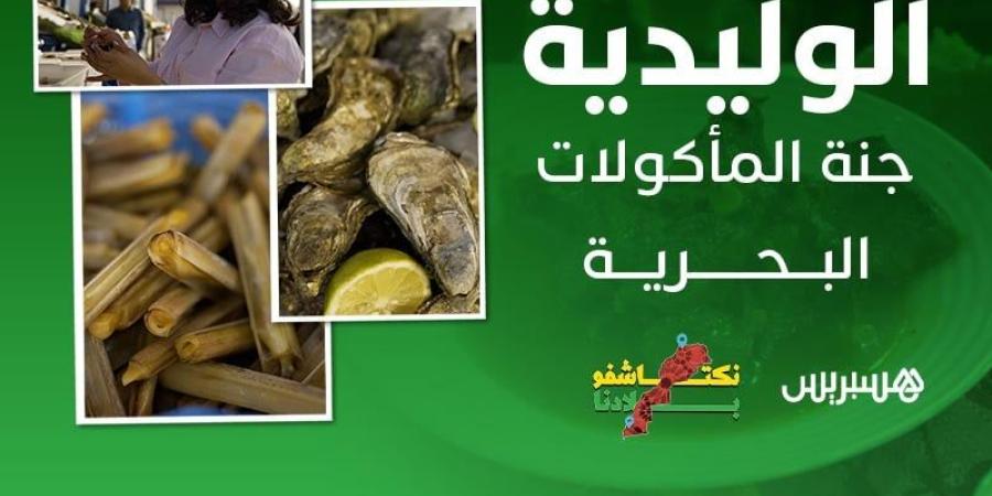 الوليدية..
      جنة
      المأكولات
      البحرية - ترند نيوز